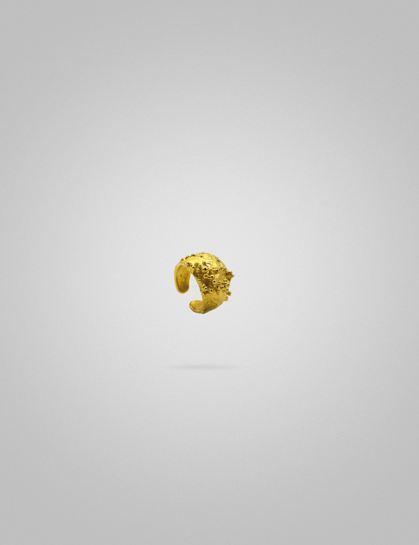 Belden Earcuff